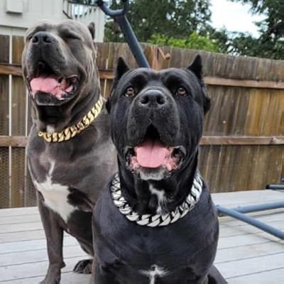 🔥Hot 50% Sale OFF🔥 💕 Women's Raw Edge Ripped Denim Jacket