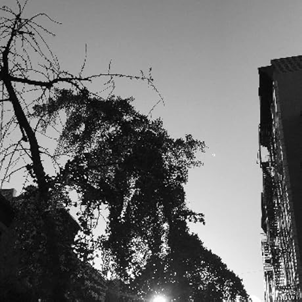 🔥Hot 50% Sale OFF🔥 💕 Women's Raw Edge Ripped Denim Jacket