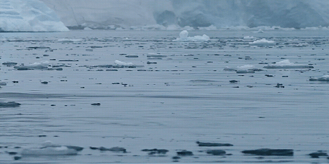 🔥Drone with 4K camera for Adults✨ - 2025 H20 VR Edition